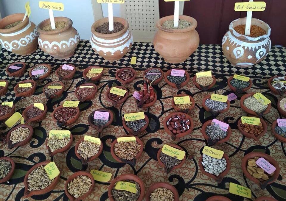 Seed Sovereignty Declaration